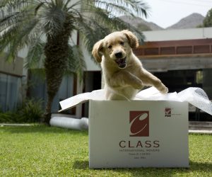 Class International Movers (5)